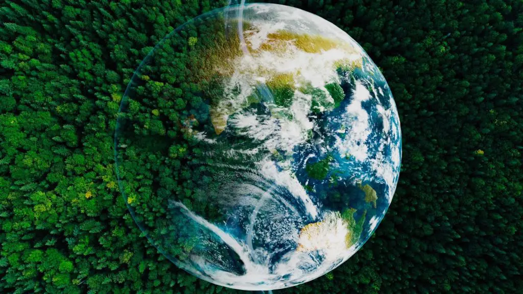 Durante l'estate, frigoriferi e condizionatori sono essenziali ma anche a rischio di guasto e...