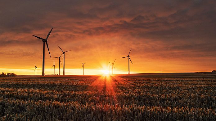 Punti di Svolta Positivi per il Clima: Il Futuro della Sostenibilità Negli ultimi anni, il dibattito...