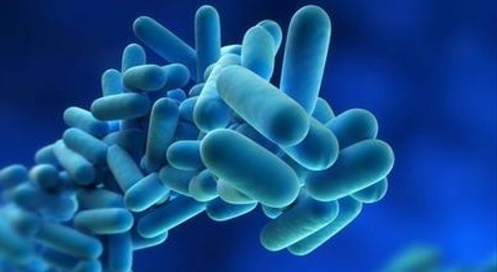 Titolo: “Comprendere il Virus: Trasmissione e Rischi per la Salute”