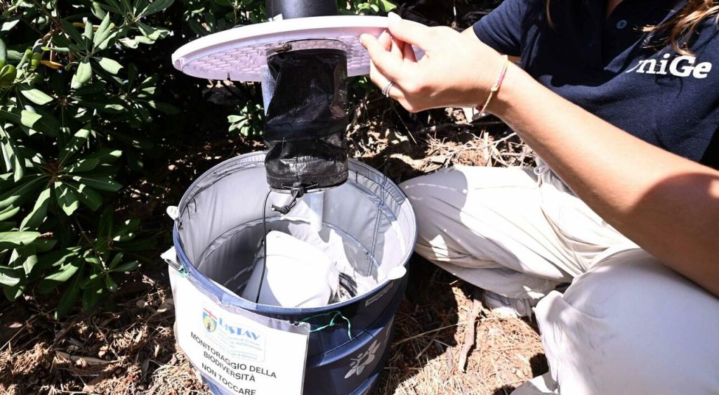 Sfide e resilienza: la vita di una donna di 81 anni in Italia oggi