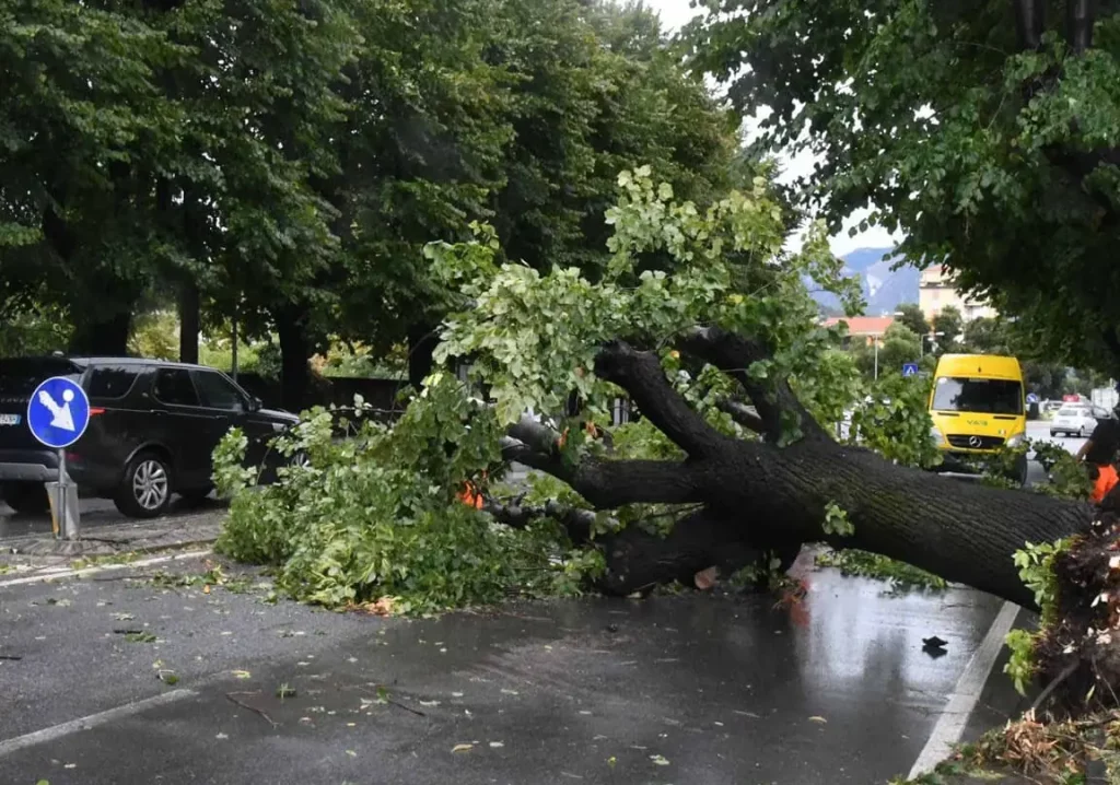 Maltempo in Toscana: Nubifragi e Fulminazioni Record FIRENZE (ITALPRESS) – La Toscana è stata...
