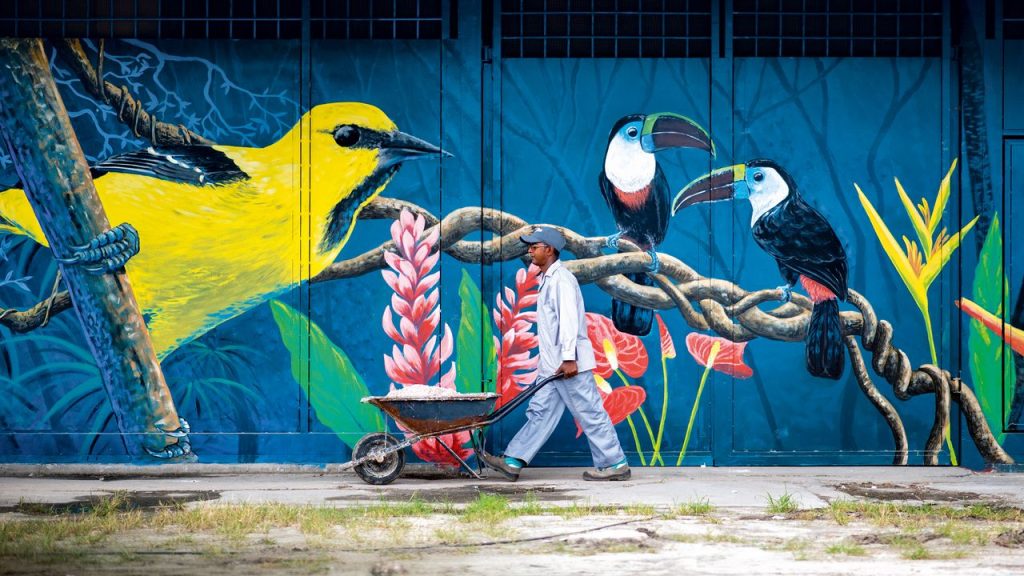 Ritrovare le radici in Guyana: un ritorno tra foreste vergini e città in crescita.