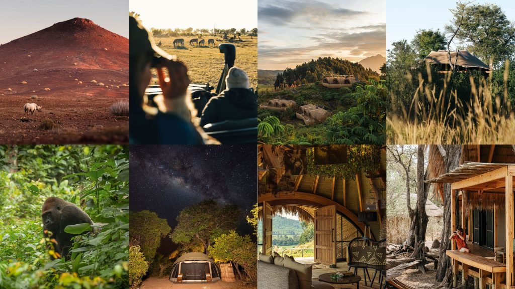 I 26 migliori nuovi campi safari in Africa da scoprire nel 2025.