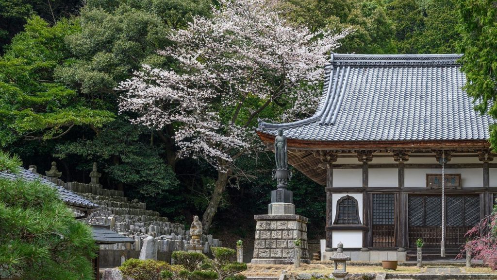 Obama, Giappone: una cittadina costiera accoglie visitatori grazie a un consorzio di abitanti ospitali.