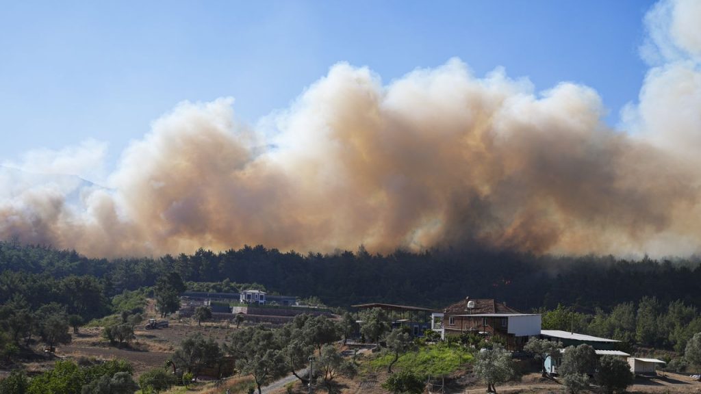 Incendi in Europa: tutto ciò che devi sapere su Francia, Spagna e altre zone.