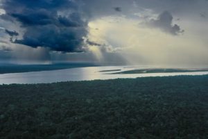 Deforestazione: l’aumento delle temperature locali minaccia la vita delle popolazioni vulnerabili.