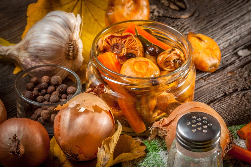 Intossicazione da Botulismo in Italia: Due Tragedie e le Indagini in Corso Negli ultimi giorni...