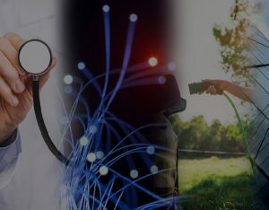 Consip lancia la nuova Consultazione di mercato semestrale per forniture pubbliche innovative