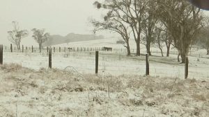 Di Euronews Agenzie: AP Pubblicato il 04/08/2025 - 16:15 CEST Maltempo Estremo nel Nuovo Galles del...