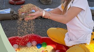 Grecia: Festival del Riso celebra sostenibilità e sicurezza dei prodotti europei. Scoprilo!