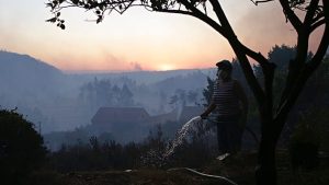 Emergenza Ambientale in Portogallo: Ozonizzazione nella Regione Nord Di Euronews Pubblicato il...