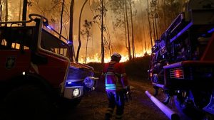 Incendi Devastano il Portogallo: la Situazione Attuale In Portogallo, la lotta contro gli incendi...