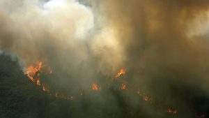 Incendi in Portogallo: Un'Emergenza Nazionale Una SITUAZIONE in CRISI Il Portogallo sta vivendo uno...