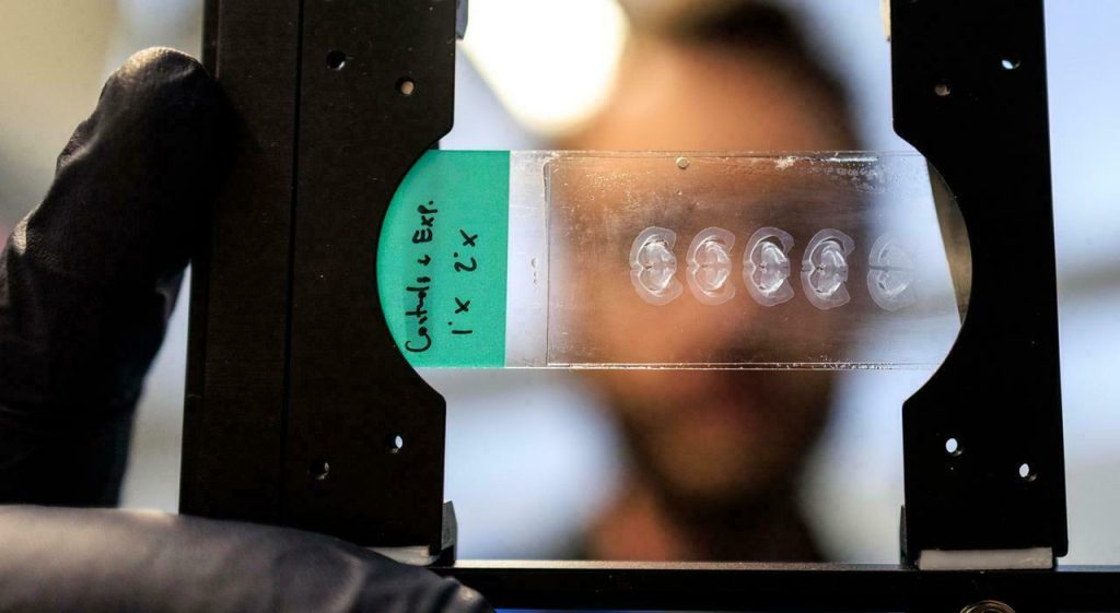 Scopri la bellezza della natura: paesaggi mozzafiato che incantano il cuore.