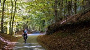 Prima edizione della Ciclovia della Salute: scopri i Parchi della Calabria in bici!