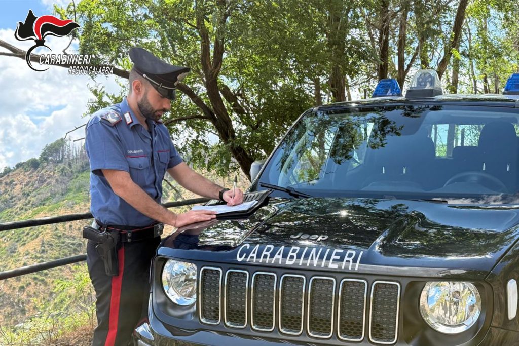 Sequestro di Rifiuti Inorganici a Seminara: Due Imprenditori Denunciati REGGIO CALABRIA (ITALPRESS)...