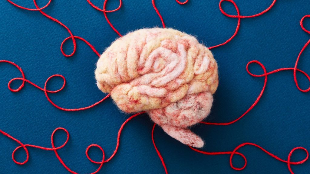 9 Abitudini Quotidiane per Mantenere il Tuo Cervello in Salute da un Neuroscienziato
