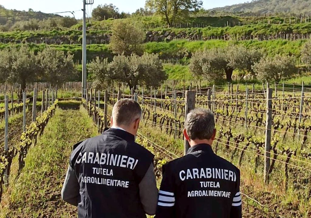 Falsa produzione di Zibibbo: sequestro di 5 mila litri di vino in Germania.