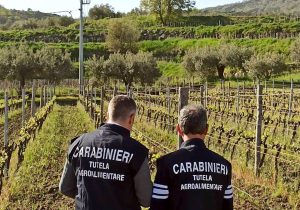 Falsa produzione di Zibibbo: sequestro di 5 mila litri di vino in Germania.