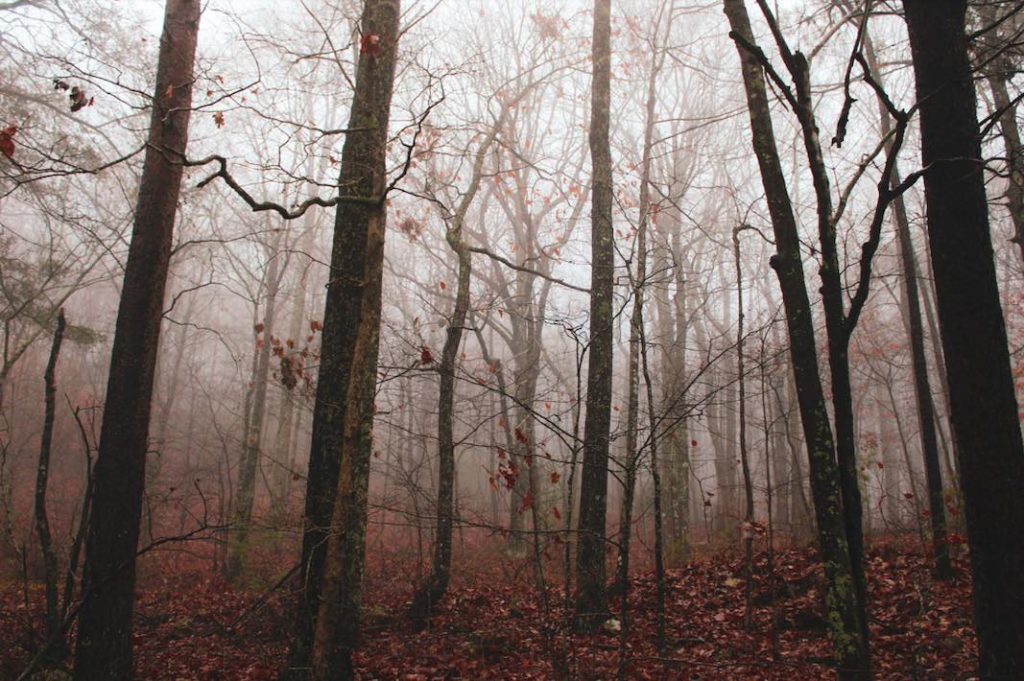 Oroscopo settimanale 29 settembre – 5 ottobre 2025: energia e cambiamenti in arrivo