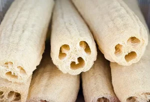 Come utilizzi i Loofah? Rischi e benefici per la tua pelle spiegati chiaramente
