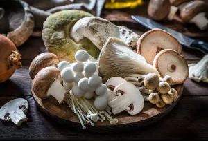 Migliori funghi medicinali: benefici per salute e benessere naturale comprovati