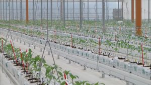 Bayer ha inaugurato nuove serre ad alta tecnologia nel centro di ricerche di Latina con un...