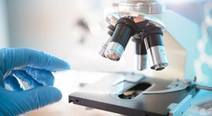 Scoperta Innovativa sul Ruolo della Secrezione Cellulare nella Risposta Meccanica Il Consiglio...