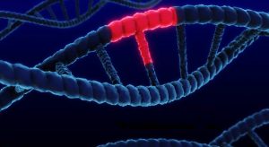 Spermatozoi maschili anziani: maggiore mutazione genetica e possibili rischi per la prole.