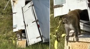 Scopri il fascino di paesaggi mozzafiato e avventure indimenticabili in questo viaggio unico.