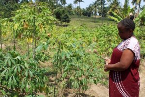 Clima in mutamento: l’impatto sulla salute mentale in Kenya analizzato da esperti.