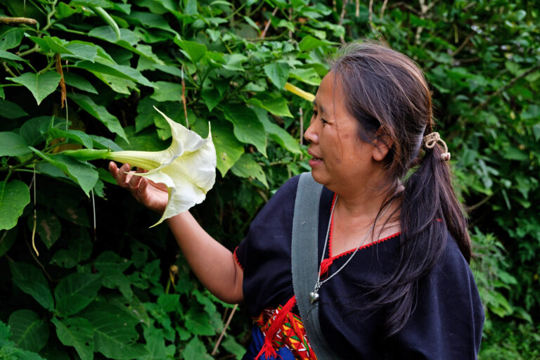 La Tradizione dei Karen Pgaz K’Nyau in Thailandia: Un Legame Sacro con la Natura L’arte di convivere...