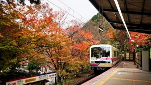 Le migliori ferrovie giapponesi per ammirare il foliage autunnale.