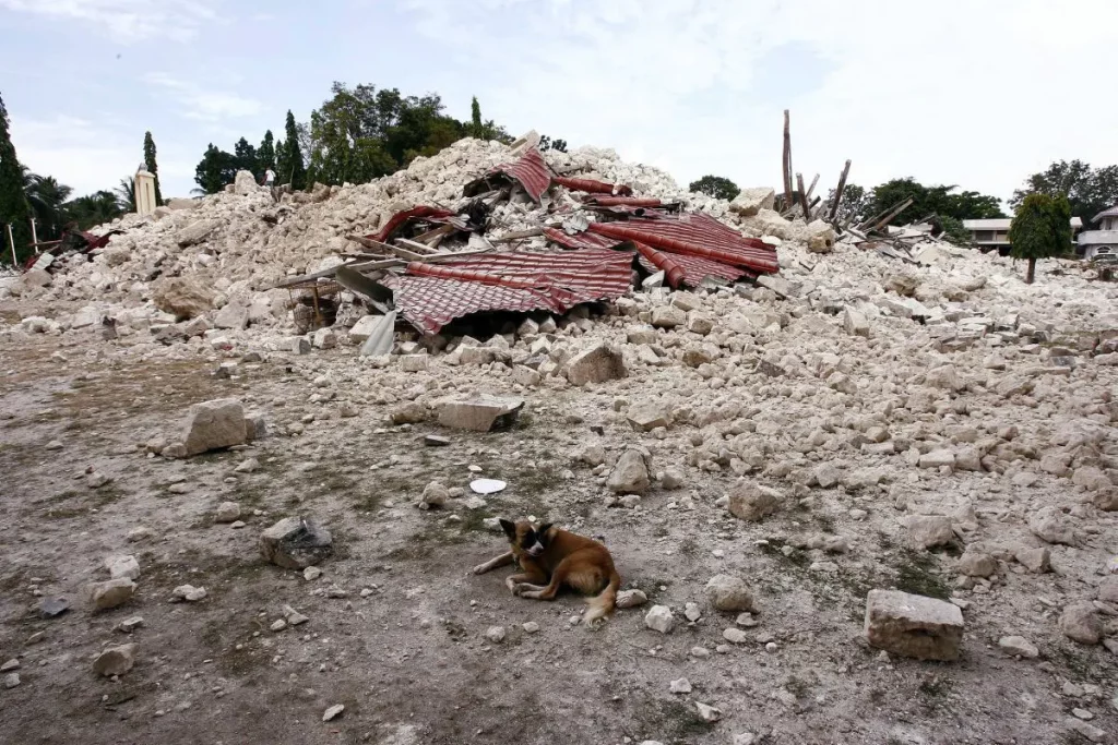 Terremoto nelle Filippine: La Devastazione e Il Bilancio Ufficiale Il 16 ottobre 2013, la provincia...