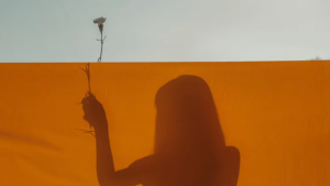 Oroscopo novembre 2025: date importanti, energie e numeri angelici da conoscere