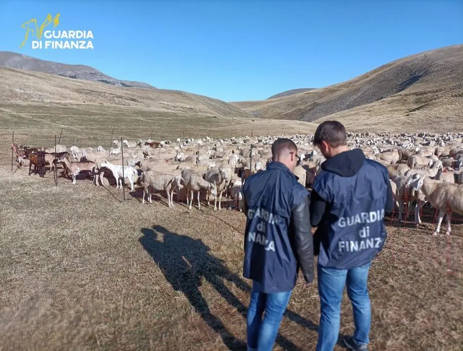 Frode all’UE: 48 imprenditori agricoli denunciati a Padova per irregolarità.