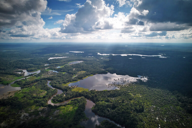 Chi possiede davvero Amazon? Scopri i segreti dietro il gigante dell’e-commerce.
