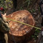 La prevenzione dei crimini ambientali diventa parte integrante della diplomazia globale.