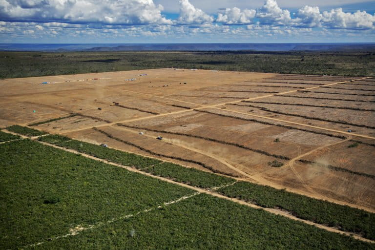 Deforestazione nel Cerrado: la sfida della legge EUDR Produzione di soia nel Cerrado brasiliano...