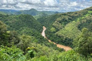 Contaminazione Ambientale in Myanmar e Thailandia I recenti dati satellitari hanno rivelato...