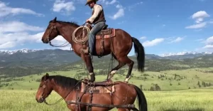 Controllo sulle Versioni AI in Sora Sora offre ora ai suoi utenti la possibilità di gestire in modo...