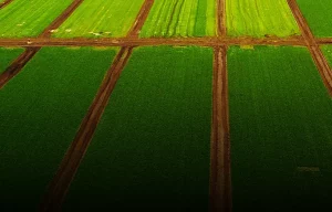 DRI acquista impianti agrivoltaici in Puglia e Molise da DCH per sostenibilità energetica.