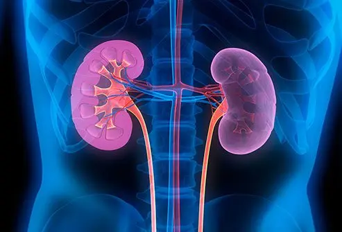 Tenere sotto controllo i livelli di potassio nel sangue è fondamentale per prevenire la comparsa di...