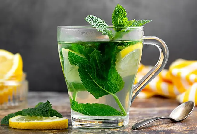 Scopri se il tè idrata meglio dell’acqua: verità e benefici a confronto