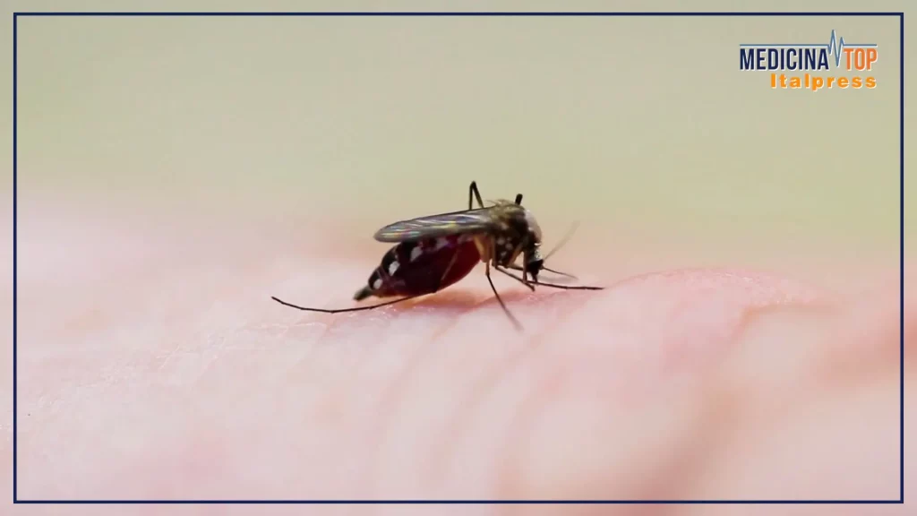 Malattie infettive tropicali: crescente allerta anche in Italia e impatti sulla salute pubblica.