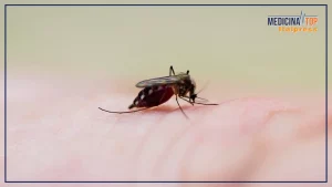 Malattie infettive tropicali: crescente allerta anche in Italia e impatti sulla salute pubblica.