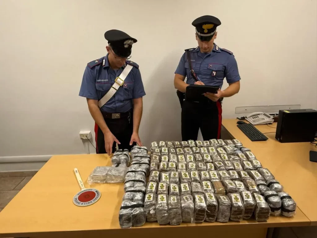 Blitz Carabinieri nel Nuorese: sequestrati 51 kg di hashish in operazione “Termine”.