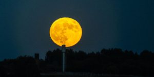 Superluna di Ottobre 2025: Un Evento Celestiale da Non Perdere La notte tra il 6 e il 7 ottobre...