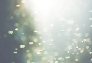 Come eliminare efficacemente i moscerini indoor: soluzioni rapide e durature