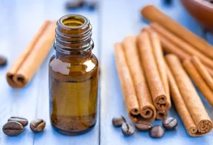 Elimina le formiche nere rapidamente con 23 rimedi casalinghi efficaci e naturali